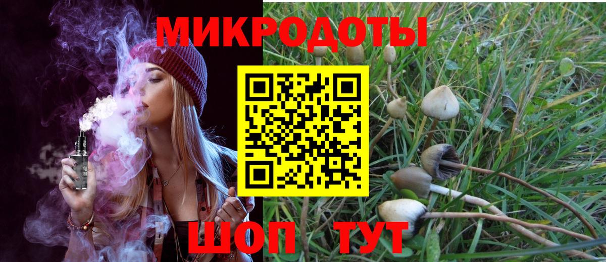 Рыбинск  Псилоцибиновые грибы MAGIC MUSHROOMS  Вход с VPN 