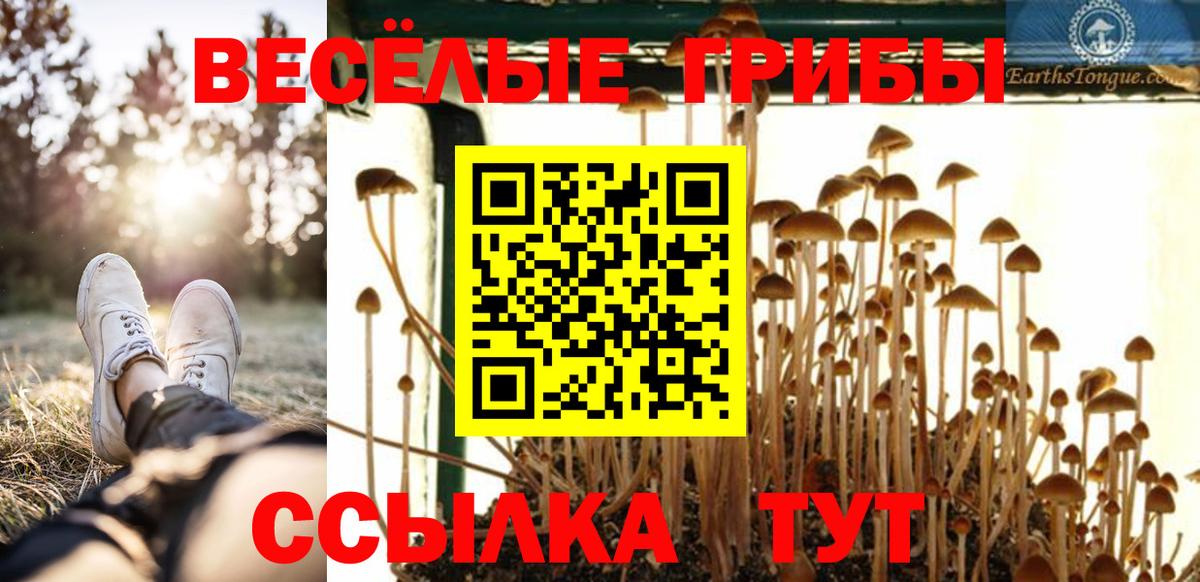 Псилоцибиновые грибы мухоморы Рыбинск